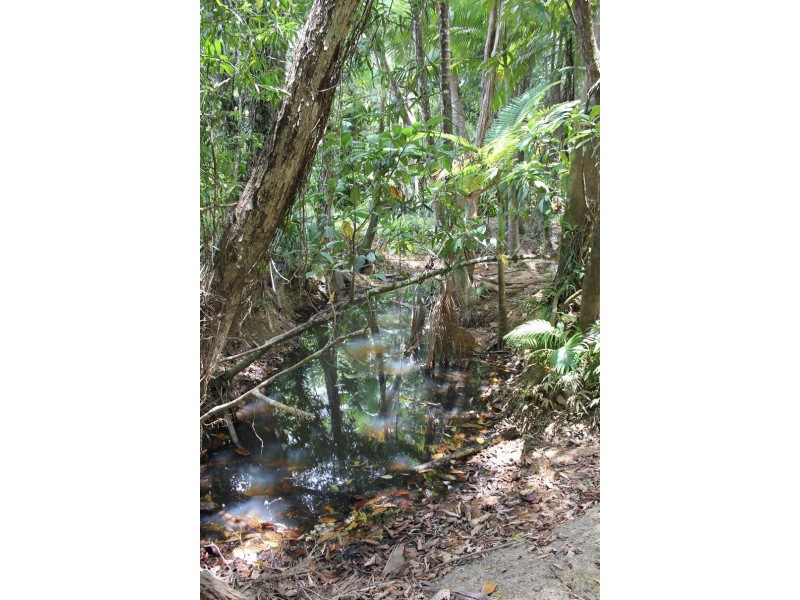 Lot 1 and 3 Thornton Peak Drive FOREST CREEK, Daintree QLD 4873