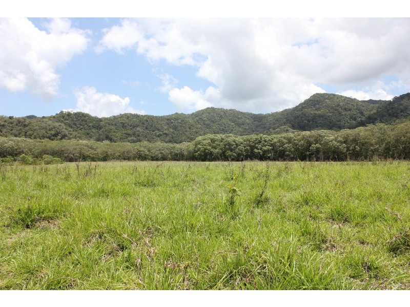 Lot 1 and 3 Thornton Peak Drive FOREST CREEK, Daintree QLD 4873