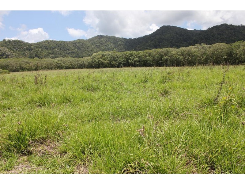 Lot 1 and 3 Thornton Peak Drive FOREST CREEK, Daintree QLD 4873