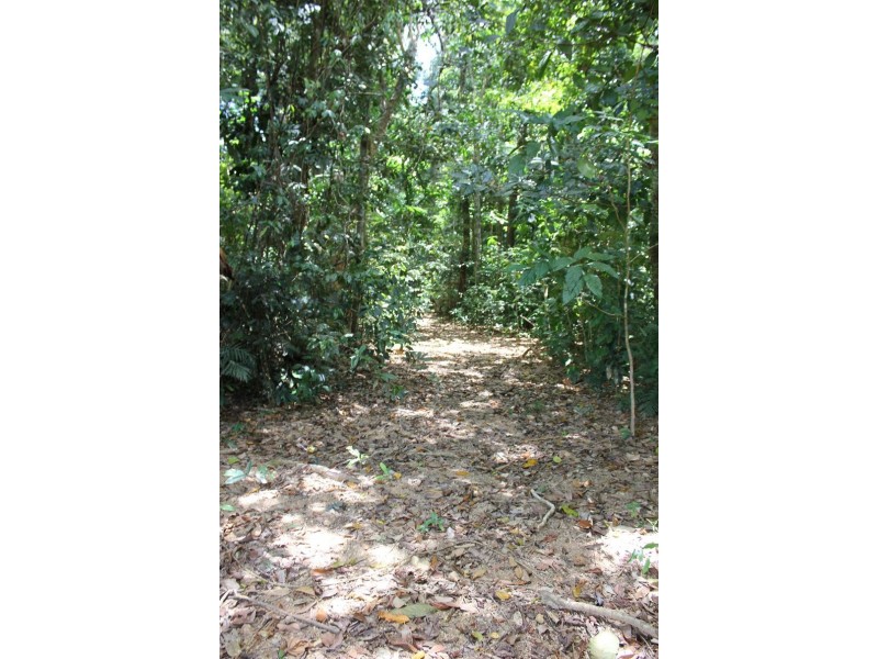 Lot 1 and 3 Thornton Peak Drive FOREST CREEK, Daintree QLD 4873