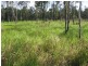 374 Hodzic Road, Biboohra QLD 4880