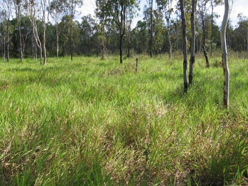374 Hodzic Road, Biboohra QLD 4880