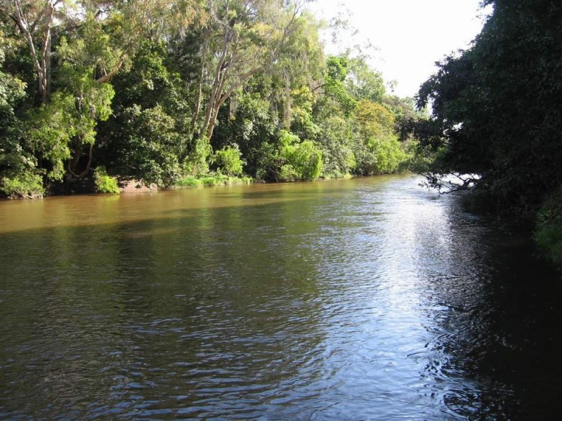 374 Hodzic Road, Biboohra QLD 4880