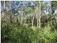 374 Hodzic Road, Biboohra QLD 4880