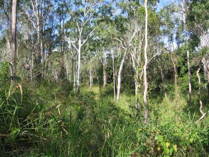 374 Hodzic Road, Biboohra QLD 4880