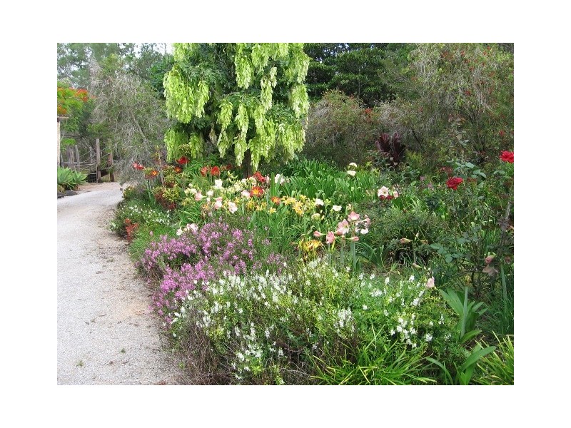 Mount Molloy QLD 4871