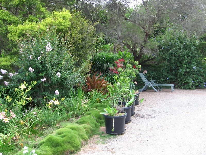 Mount Molloy QLD 4871