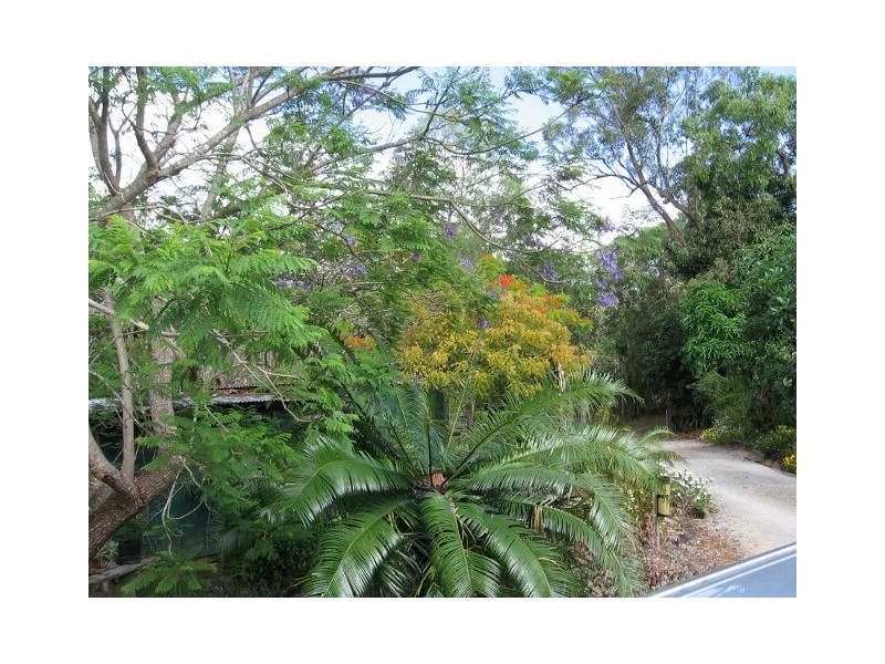 Mount Molloy QLD 4871