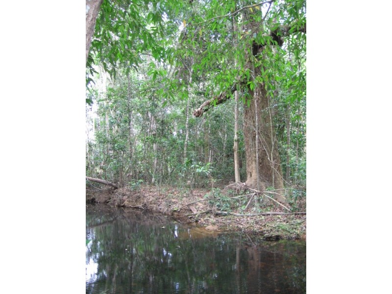 Mount Molloy QLD 4871