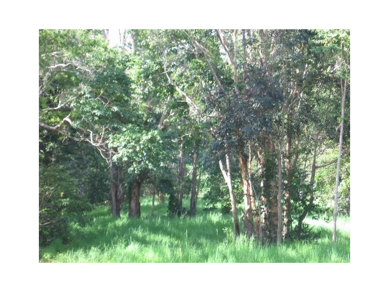 Mount Molloy QLD 4871