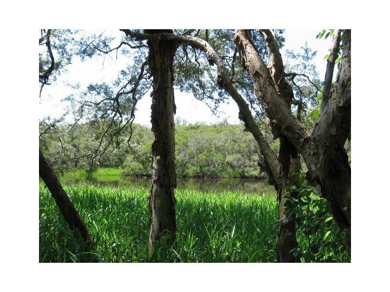 Mount Molloy QLD 4871