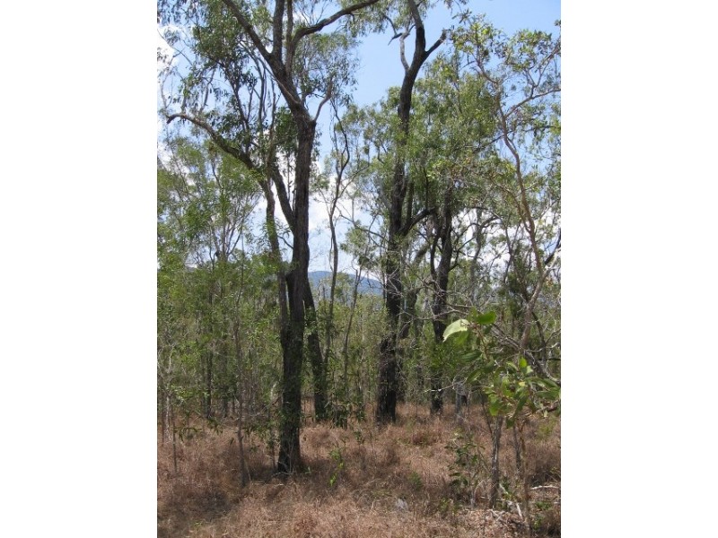 Mount Molloy QLD 4871
