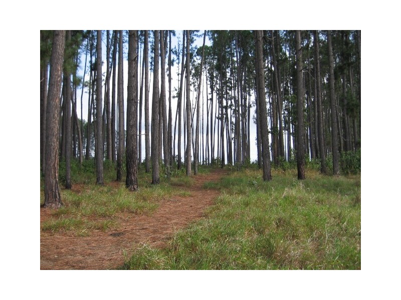 Lot 26 Euluma Creek Road, Julatten QLD 4871