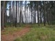 Lot  26 Euluma Creek Road, Julatten QLD 4871