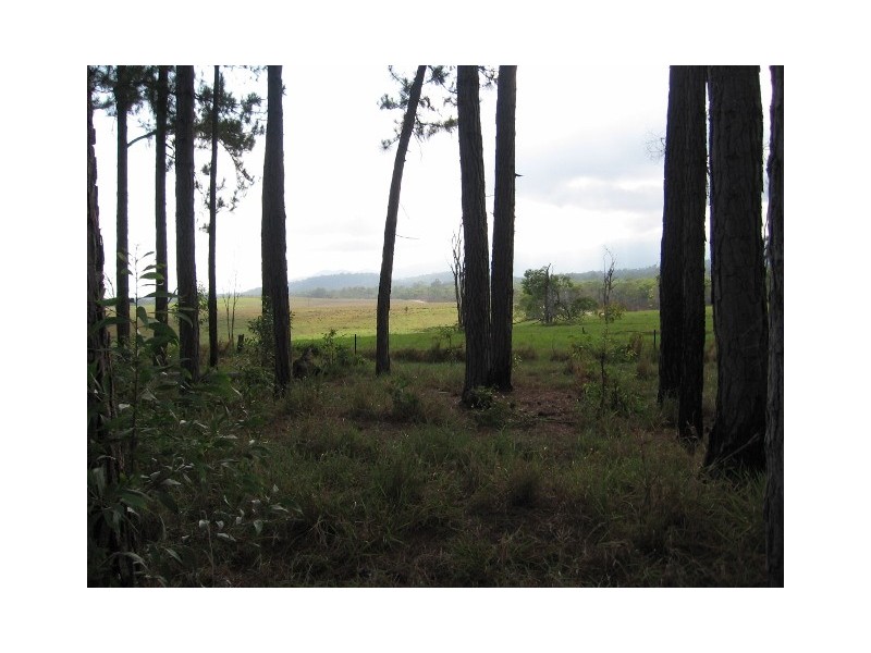 Lot  26 Euluma Creek Road, Julatten QLD 4871