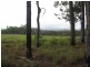 Lot  26 Euluma Creek Road, Julatten QLD 4871