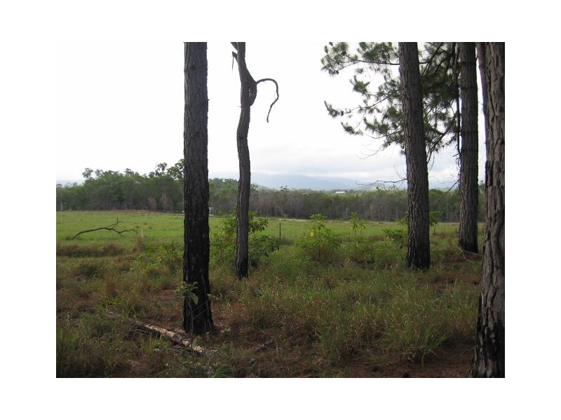 Lot  26 Euluma Creek Road, Julatten QLD 4871