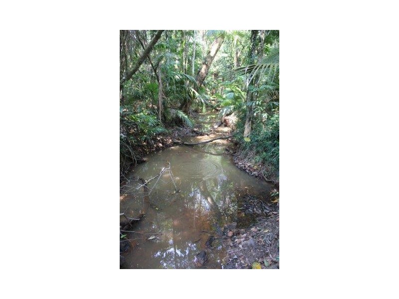 75 and 76 Forest Creek Road FOREST CREEK, Daintree QLD 4873