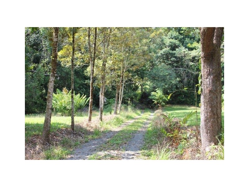 75 and 76 Forest Creek Road FOREST CREEK, Daintree QLD 4873