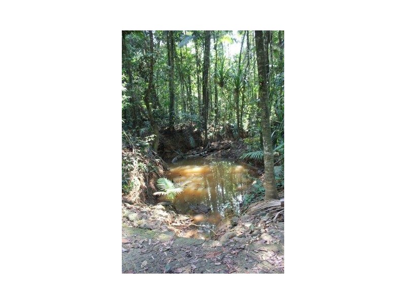 75 and 76 Forest Creek Road FOREST CREEK, Daintree QLD 4873