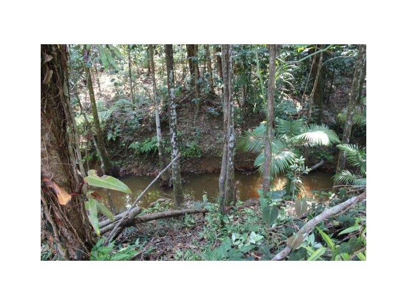 75 and 76 Forest Creek Road FOREST CREEK, Daintree QLD 4873