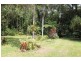 75 and 76 Forest Creek Road FOREST CREEK, Daintree QLD 4873