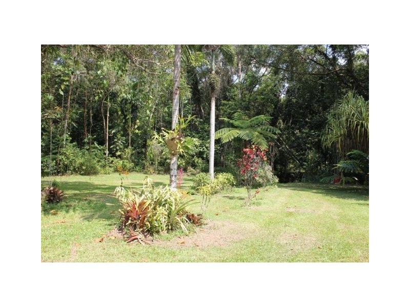 75 and 76 Forest Creek Road FOREST CREEK, Daintree QLD 4873