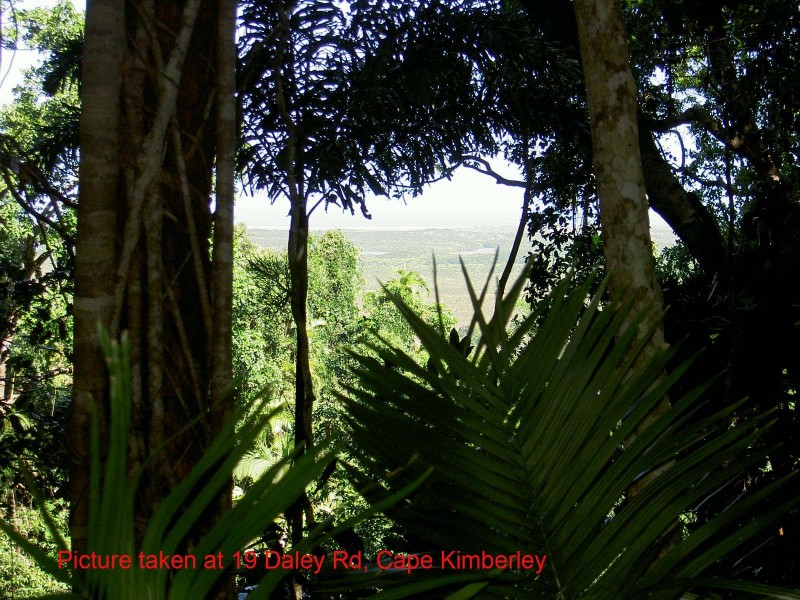 Lot 19 Cape Tribulation Road KIMBERLEY, Daintree QLD 4873
