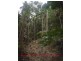 Lot 19 Cape Tribulation Road KIMBERLEY, Daintree QLD 4873
