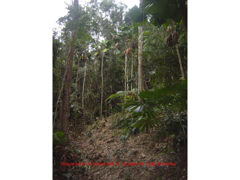 Lot 19 Cape Tribulation Road KIMBERLEY, Daintree QLD 4873