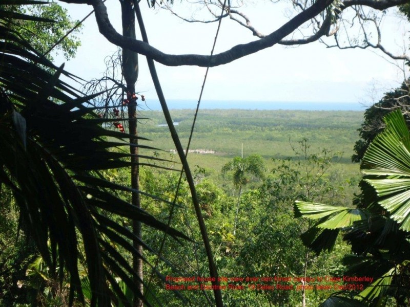 Lot 19 Cape Tribulation Road KIMBERLEY, Daintree QLD 4873