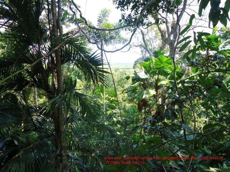 Lot 19 Cape Tribulation Road KIMBERLEY, Daintree QLD 4873