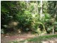 Lot 19 Cape Tribulation Road KIMBERLEY, Daintree QLD 4873