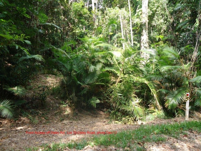 Lot 19 Cape Tribulation Road KIMBERLEY, Daintree QLD 4873