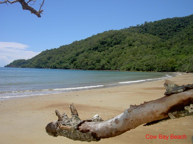Lot 19 Cape Tribulation Road KIMBERLEY, Daintree QLD 4873