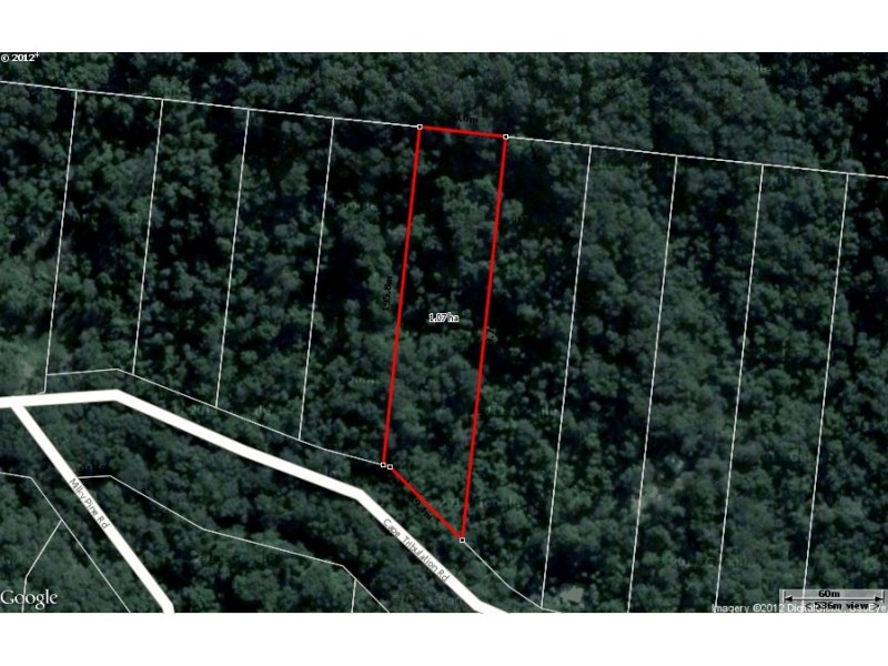 Lot 19 Cape Tribulation Road KIMBERLEY, Daintree QLD 4873