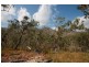 Lot 31 Oaky Valley Ave, Mareeba QLD 4880