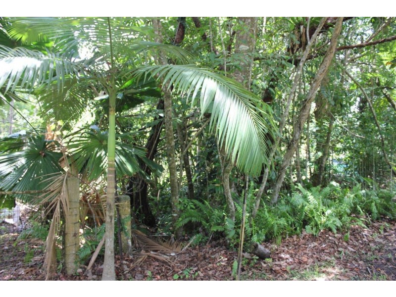 11 Cape Tribulation Road THORNTON BEACH, Daintree QLD 4873