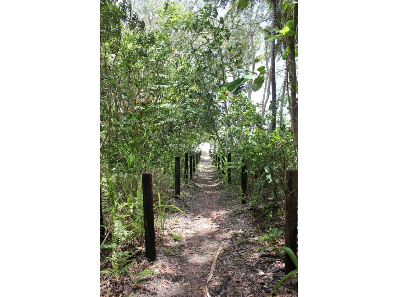 11 Cape Tribulation Road THORNTON BEACH, Daintree QLD 4873