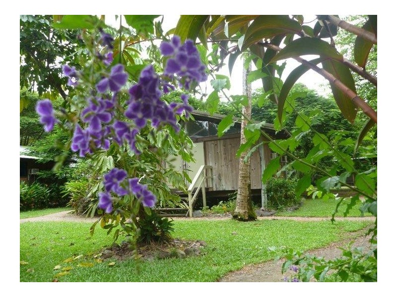 1 Cape Tribulation Road, Cape Tribulation QLD 4873