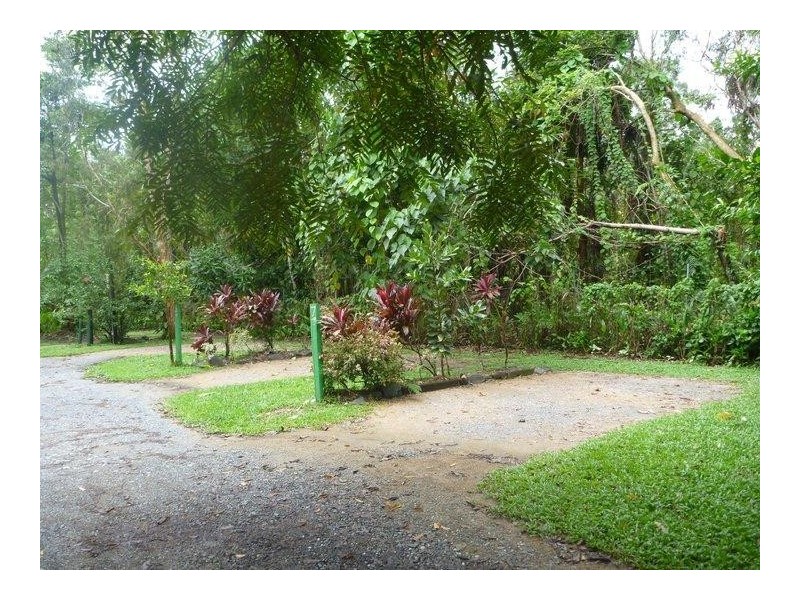 1 Cape Tribulation Road, Cape Tribulation QLD 4873