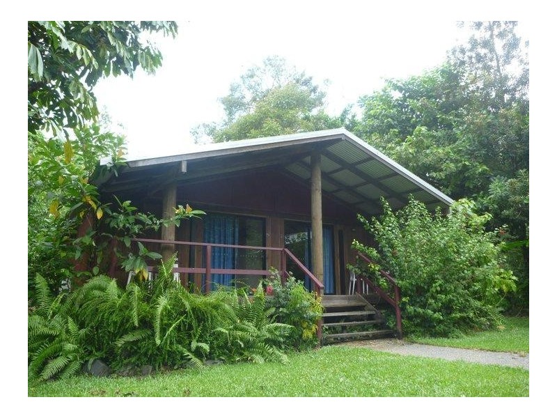 1 Cape Tribulation Road, Cape Tribulation QLD 4873