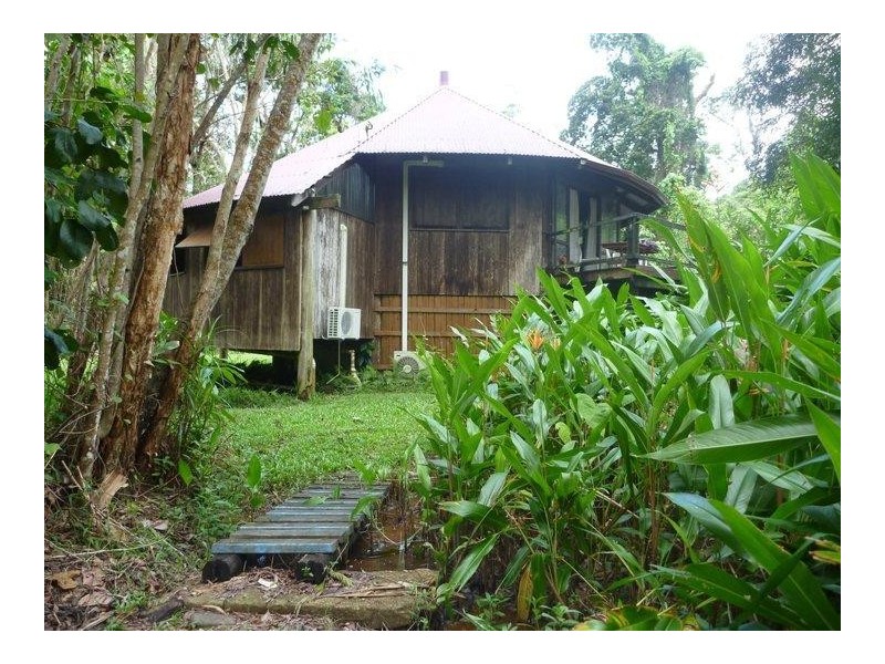 1 Cape Tribulation Road, Cape Tribulation QLD 4873
