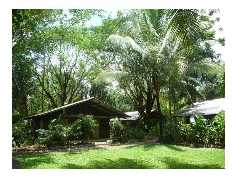 1 Cape Tribulation Road, Cape Tribulation QLD 4873