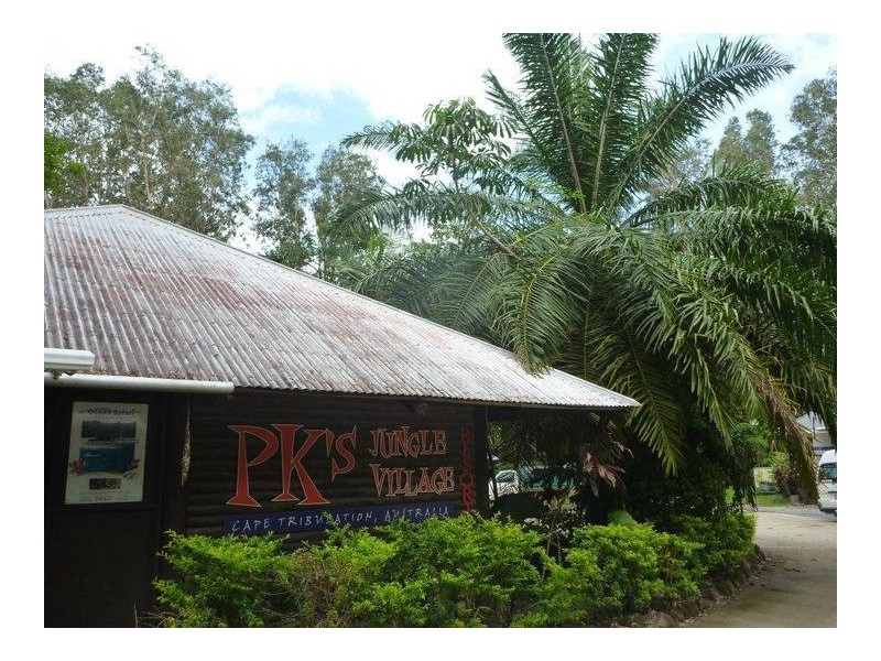 1 Cape Tribulation Road, Cape Tribulation QLD 4873