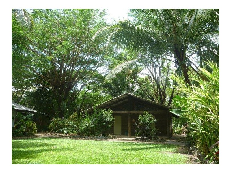 1 Cape Tribulation Road, Cape Tribulation QLD 4873