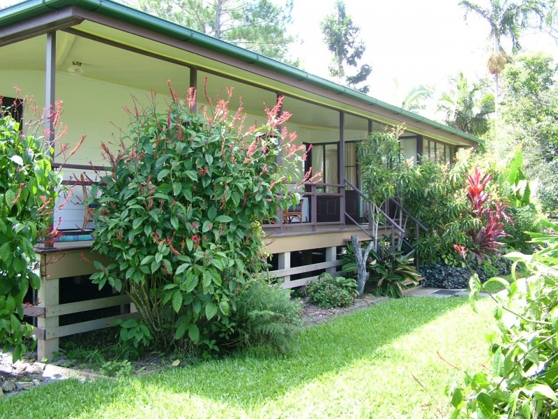 31 Mount Kooyong Rd, Julatten QLD 4871