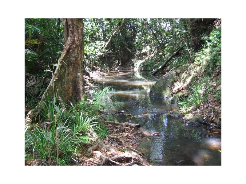 361 Pinnacle Road, Julatten QLD 4871