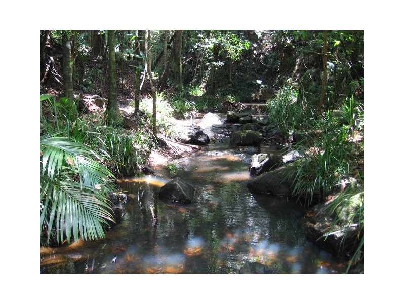 361 Pinnacle Road, Julatten QLD 4871