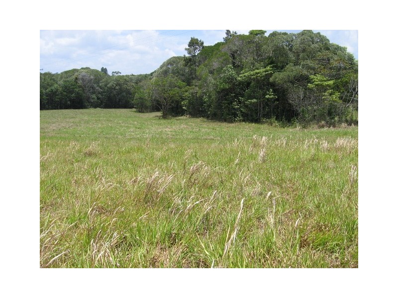 361 Pinnacle Road, Julatten QLD 4871